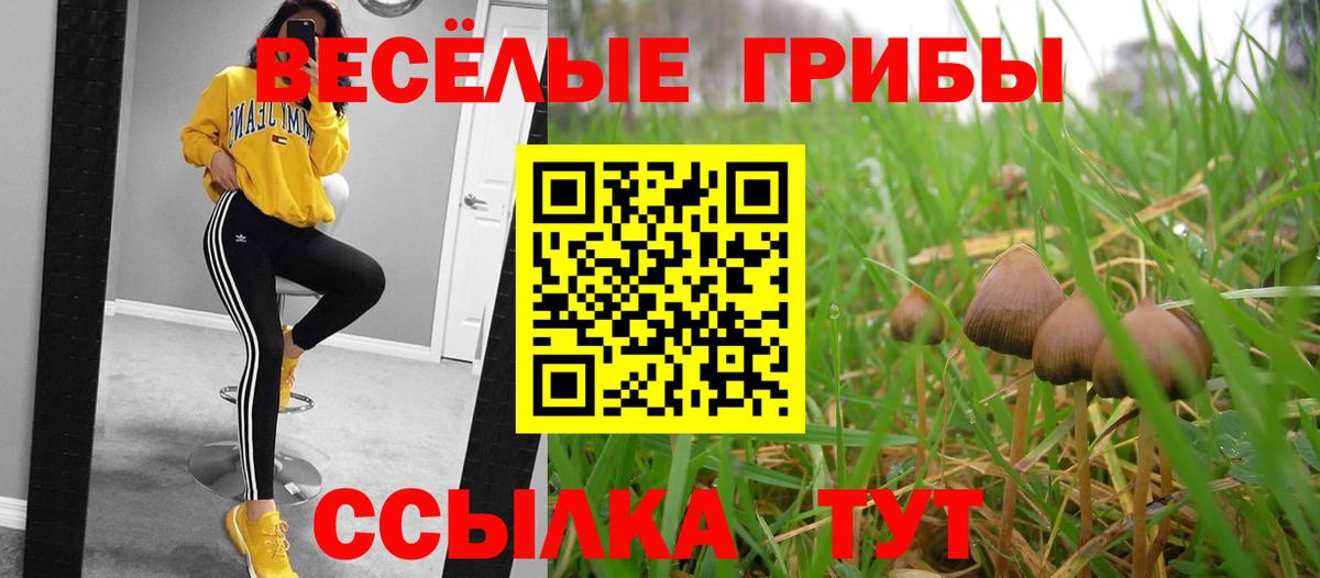 Галлюциногенные грибы Psilocybine cubensis  Вход с VPN  Псилоцибиновые грибы ЛСД  Аша 