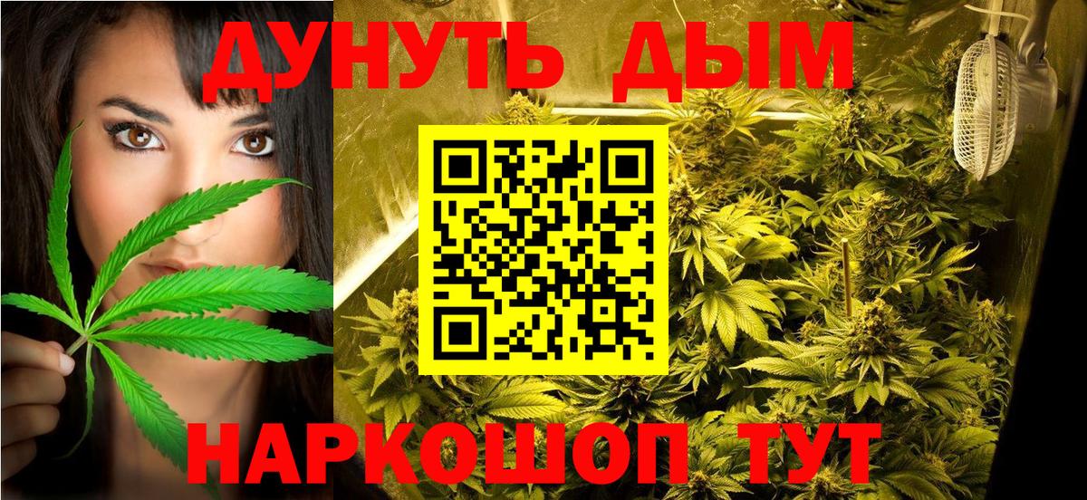Бошки Шишки Amnesia  Вход с VPN  МАРИХУАНА сатива  Бошки марихуана планчик  Аша 